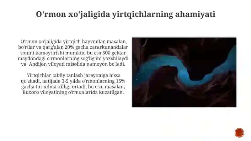 Yirtqichlar Faqat Zaif va Kasal Hayvonlarni Ovlaydi Degani Noto'g'ri Tushuncha Keng Tarqalgan 4