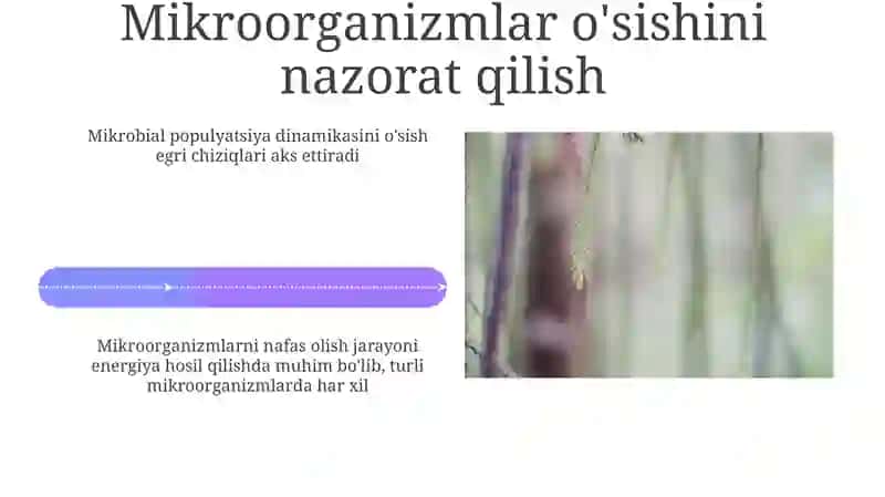 Mikroorganizmlarning rivojlanishi va nafas olishi 4
