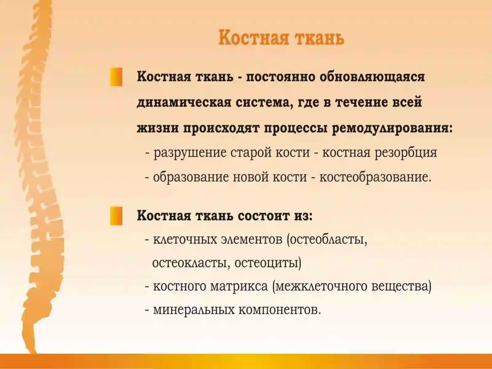 Современные принципы этиопатогенеза, диагностики и лечения остеопороза 4
