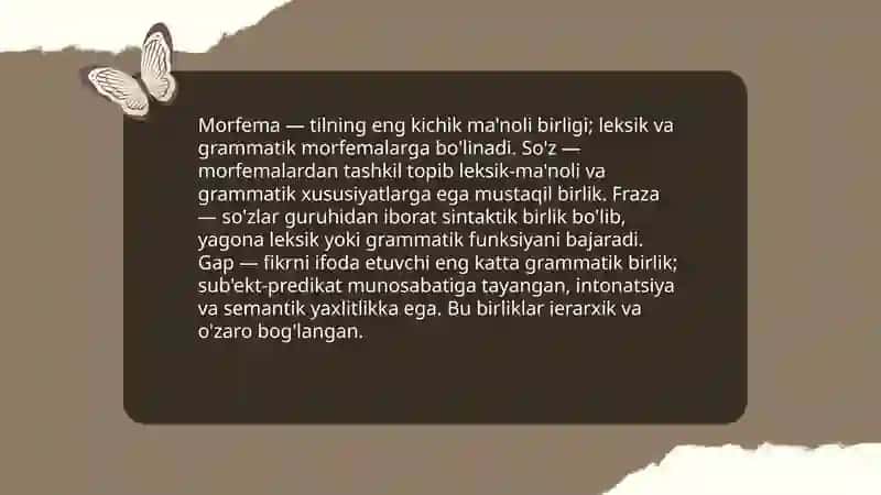 Grammatik sath va uning xususiyatlari 4