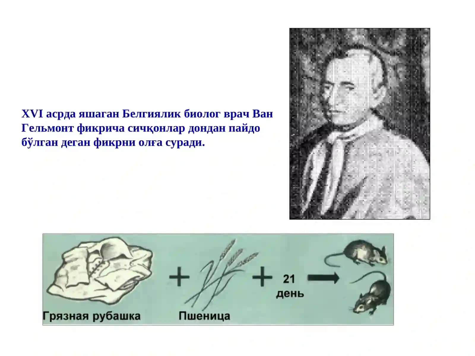 Ерда ҳаётнинг пайдо бўлиши 4