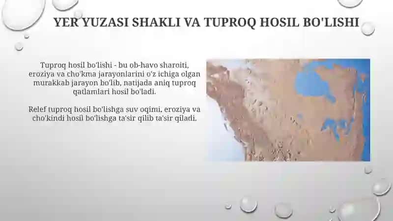Tuproqlar geografiyasining shakllanish tarixi 4