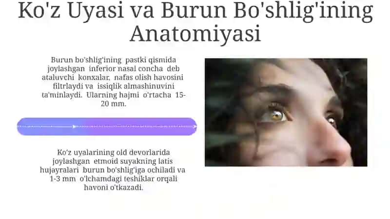Ko'z Uyasi va Burun Bo'shlig'ining Klinik Ahamiyati 4