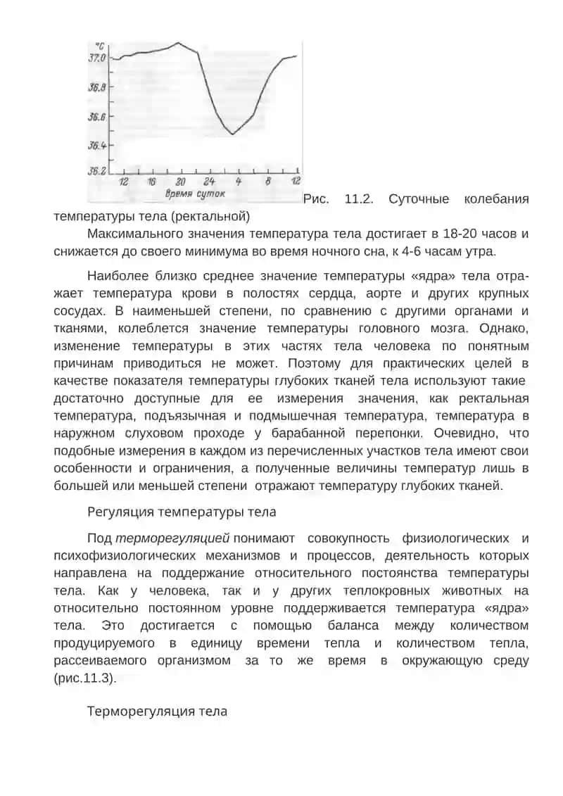 Теплообразования в организме 4