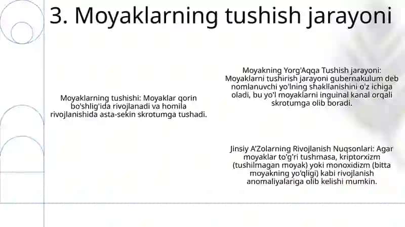 Moyakning Yorg'Aqqa Tushish Jarayoni Va Jinsiy A'Zolarning Rivojlanish Nuqsonlari 4