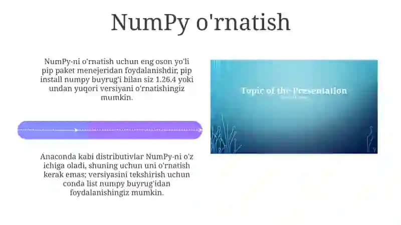 Python dasturlash tilida Numpy kutubxonasi bilan ishlash 4
