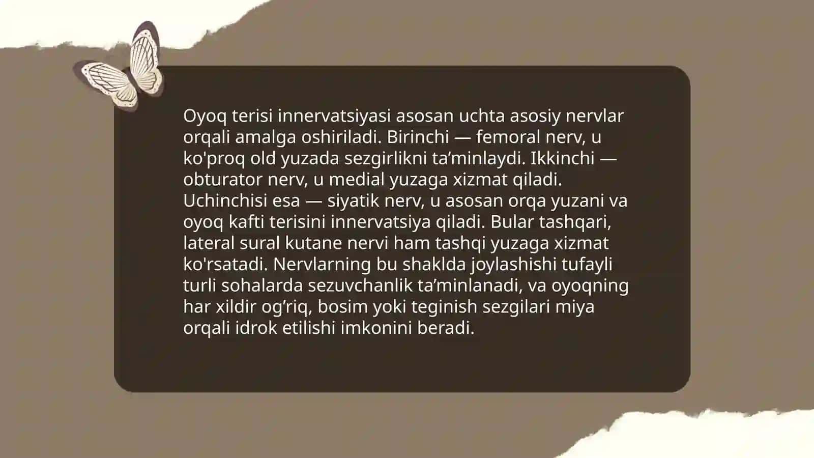 Qoʻl va oyoq terisining innervatsiyasi 4