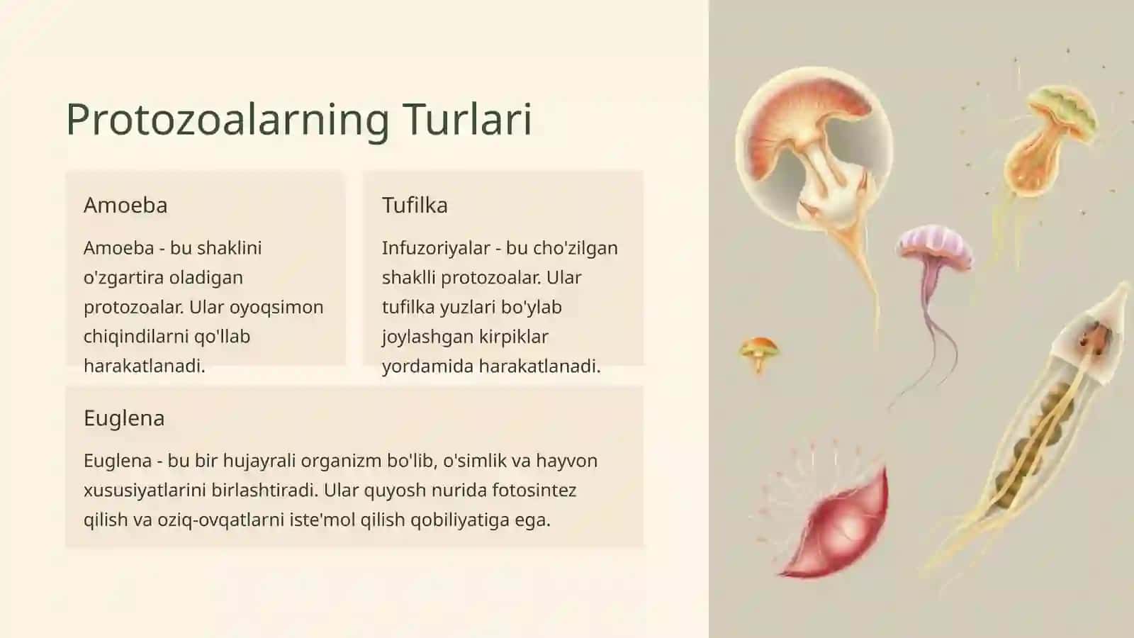 Zoologiya Faniga Kirish 4