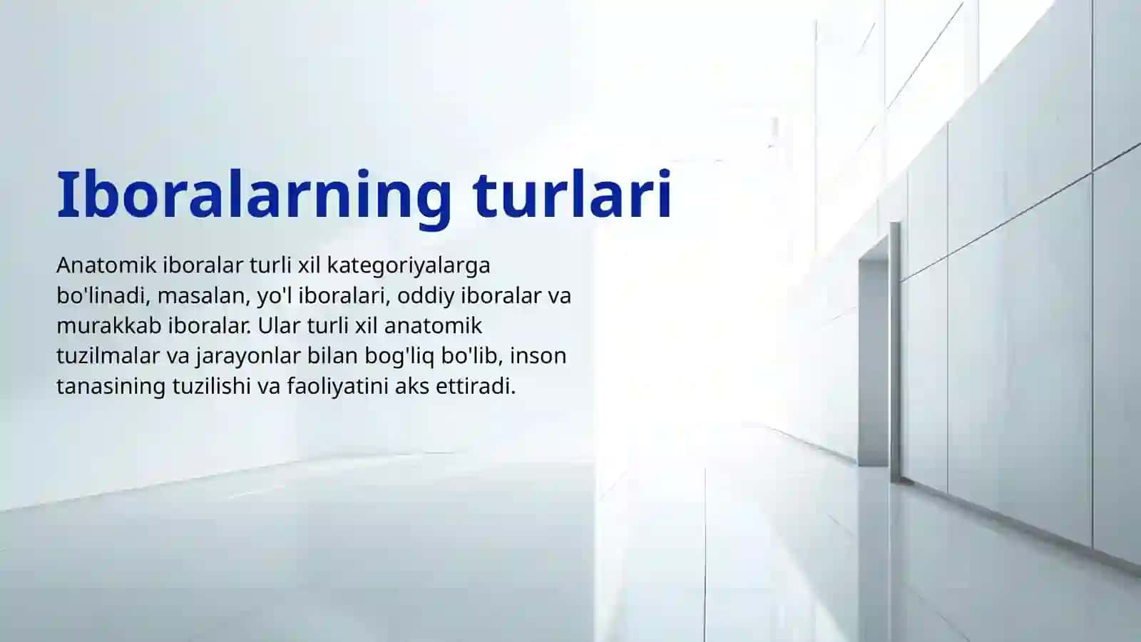 Anatomik Iboralar 4