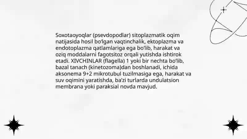 Sarkomastigoforalar yáni soxotaoyoq xivchinlilar tipi 4