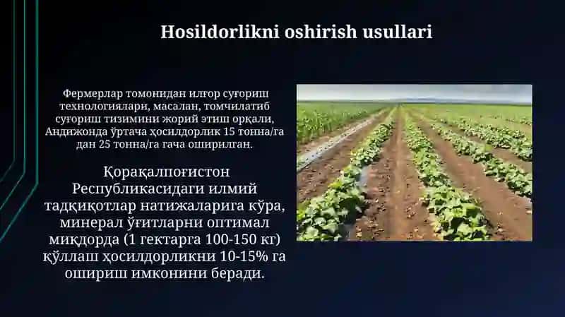 Kartoshka yetishtirish va tehnalogik xarita tuzish 4