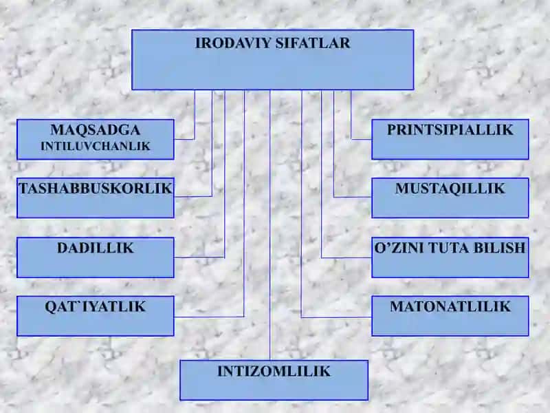 IRODA XAQIDA UMUMIY TUSHUNCHA. ICHKI IRODAVIY BOSHQARUV 4