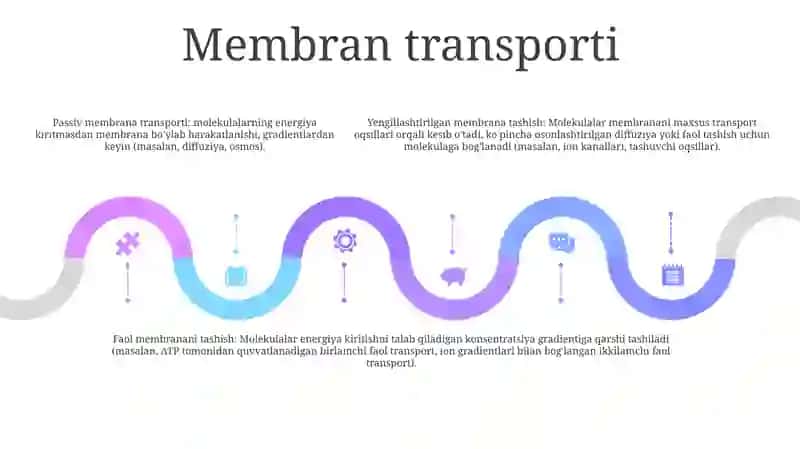 Biologik Membranalardagi Fizik Jarayonlar 4