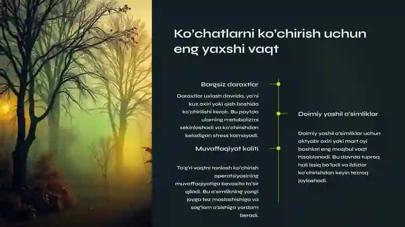 Ko’chatlarni Ko’chirish va Ekish: Muvaffaqiyat Sirlarini O‘rganamiz 4