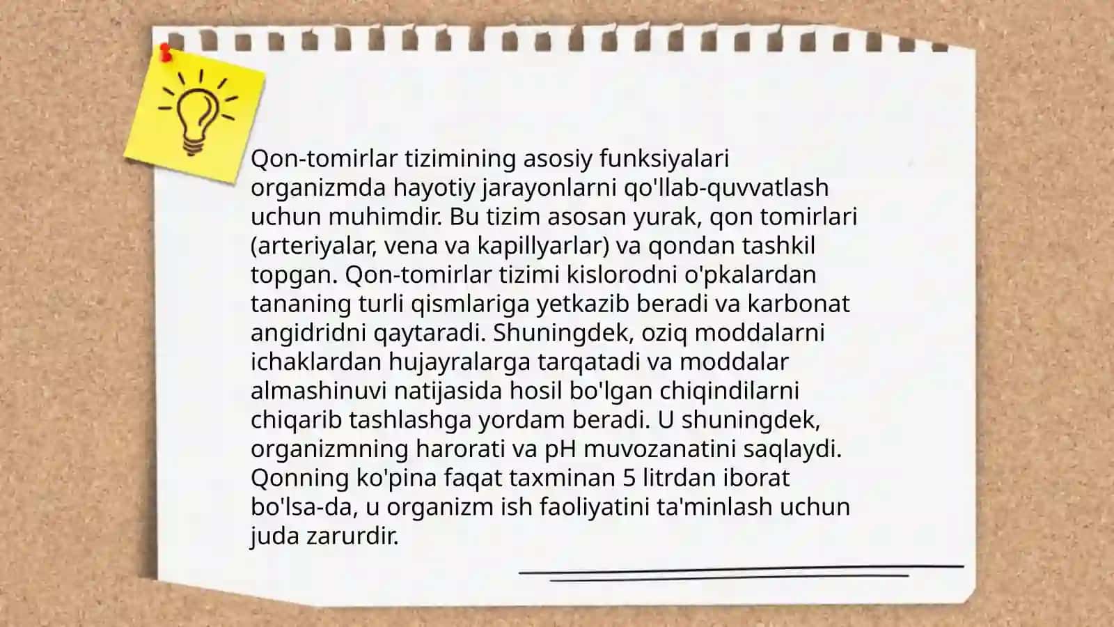 Ter bezlari va qon-tomirlarini innervatsiyalanish xususiyatlari 4