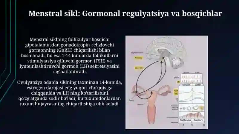 Ayollar jinsiy azosi fizologiyasi va patologiyasi hays sekli 4