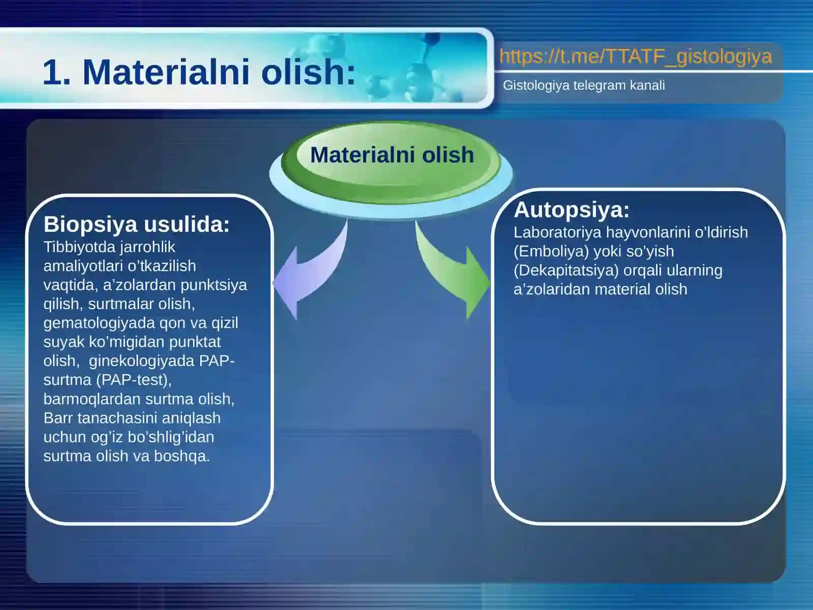 Gistologik preparatlarni tayyorlash texnikasi 4