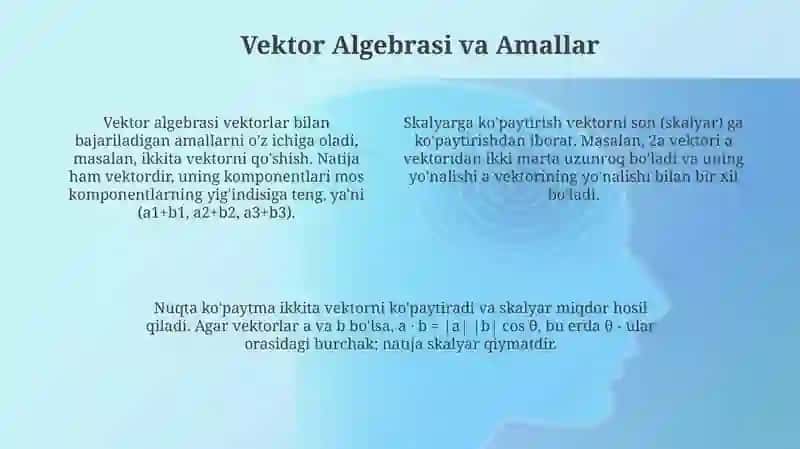 Vektor 4