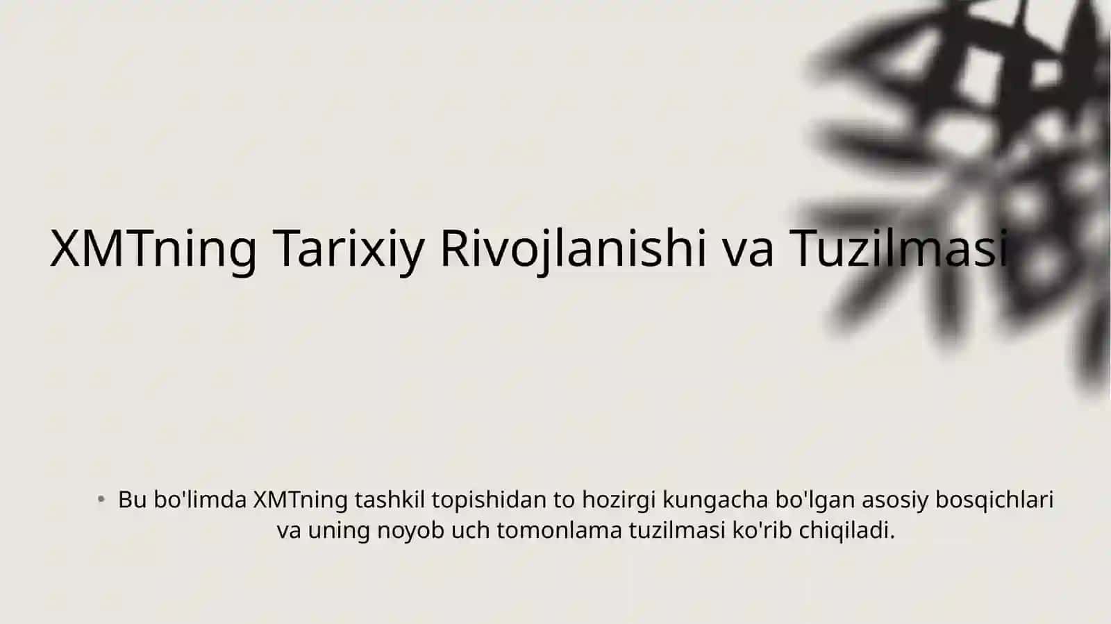 Xalqaro Mehnat Tashkiloti (XMT): Global Mehnat Standartlari va Ijtimoiy Adolat Po'latlari 4
