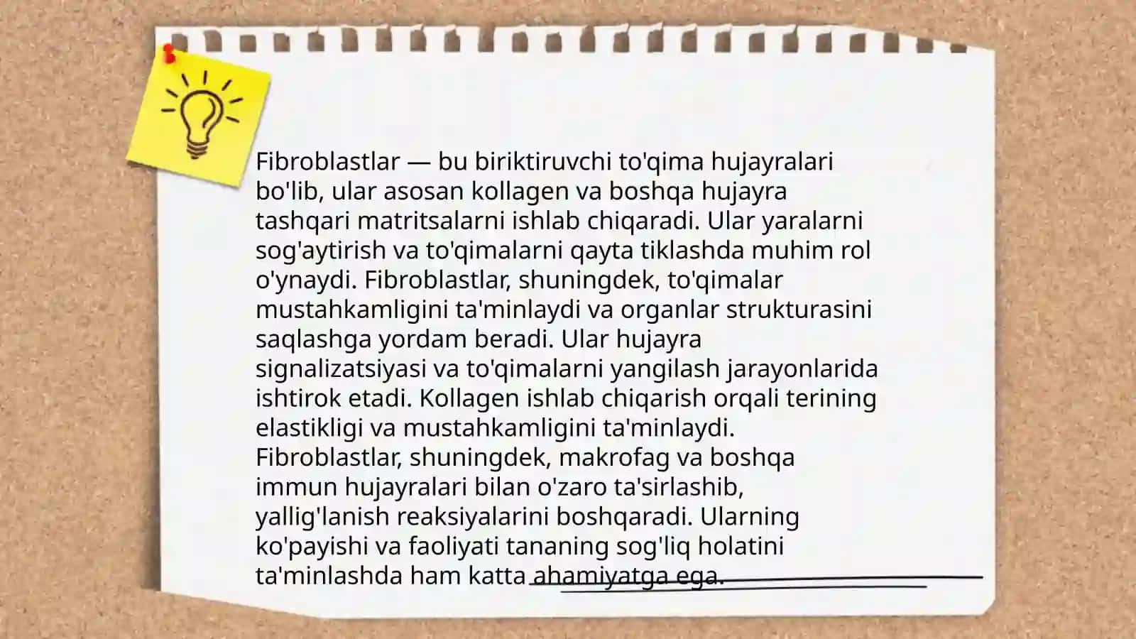 Pulpa to'qimasining hujayraviy tuzilishi 4