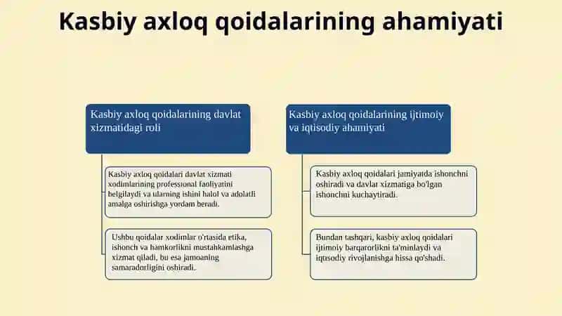 Davlat xizmati xodimlarining kasbiy odob-axloq qoidalari: nazariy va amaliy jihatlar 4