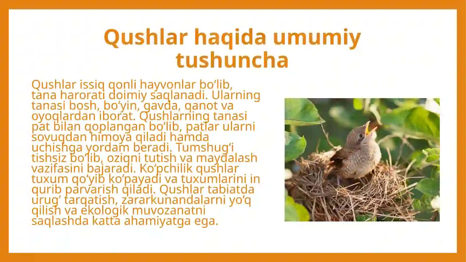 Qushlar (Aves) sinfi. Qushlar sinfining sistematikasi 4