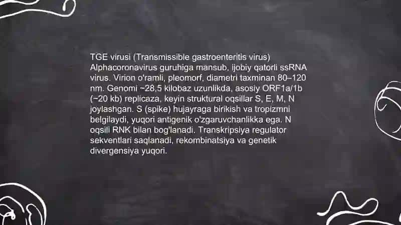 Chuchqalarning ovrupa oilasi Afrika oilasi tishin transmissiv gastrointrit kassalligi 4