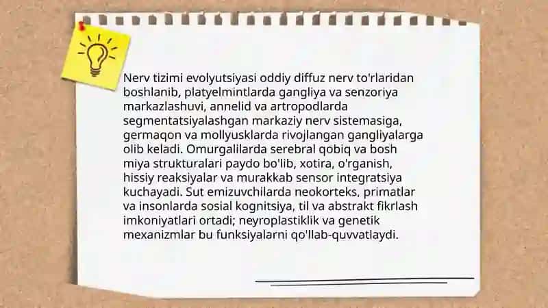 Hayvonot olamida psixik funksiyalar evolyutsiyasi 4
