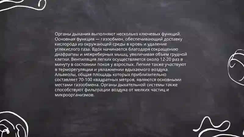 Cистема органов дыхания 4