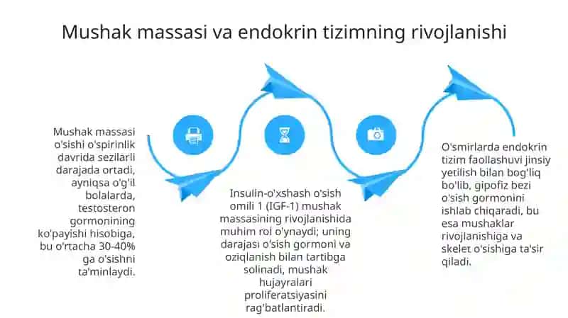 Yosh davrlarining morfologik va fiziologik xususiyatlari 4