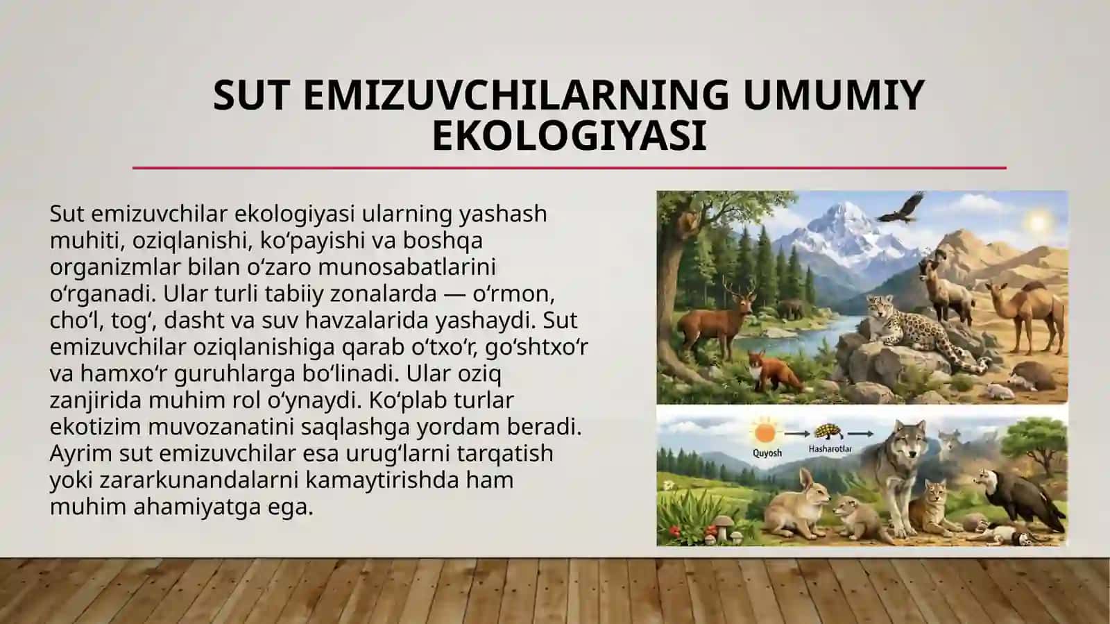 Sut emizuvchilar ekologiyasi, evolyutsiyasi va amaliy ahamiyati 4