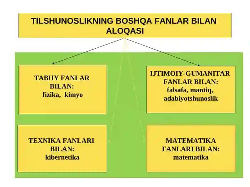 Tilshunoslik fani, uning vazifalari. Tilning ijtimoiy mohiyati, tuzilishi. Tilning paydo bo‘lishi, taraqqiyoti. Milliy til va adabiy til 4