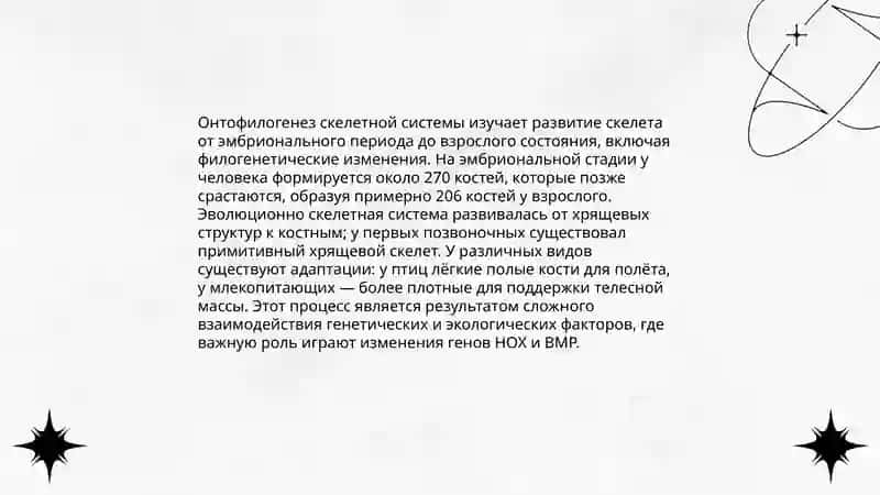 Онтофилогенез система органов 4