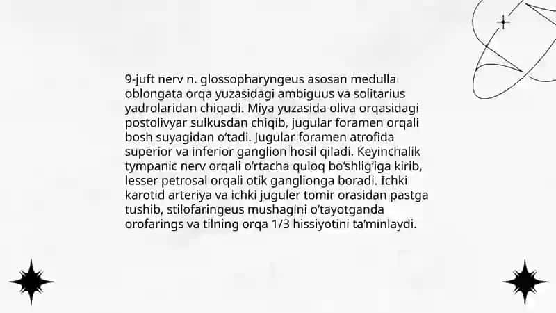 IX juft nervning umumiy anatomiyasi 4