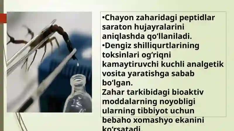 Zaharli hayvonlardi tibbiyotdagi ahamiyati 4