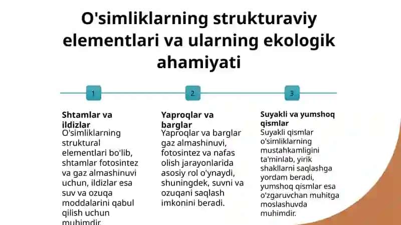 O'simliklar anatomiyasi va fiziologiyasi. 4