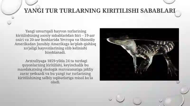 Umurtqali hayvonlarning tabiy tarqalishi va yangi turlarining kirip kelish sabablari 4