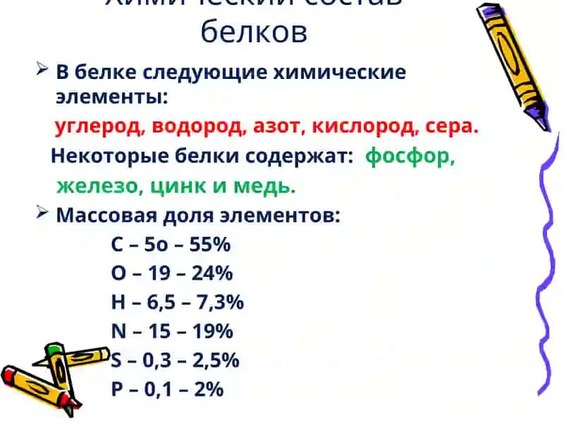 СТРОЕНИЕ И СВОЙСТВА БЕЛКОВ 4