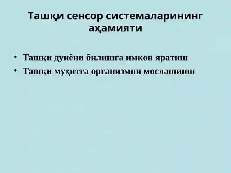 Организмнинг сенсорсистемаси 4
