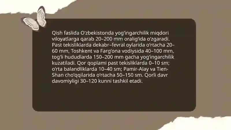 Oʻzbekistonda qish 4