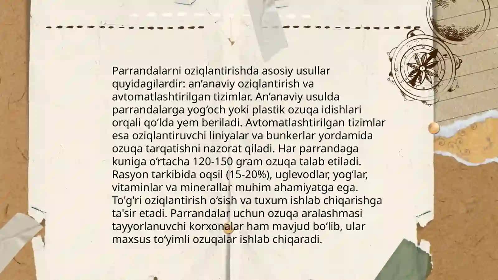 Parrandachilik va chorchachilik 4