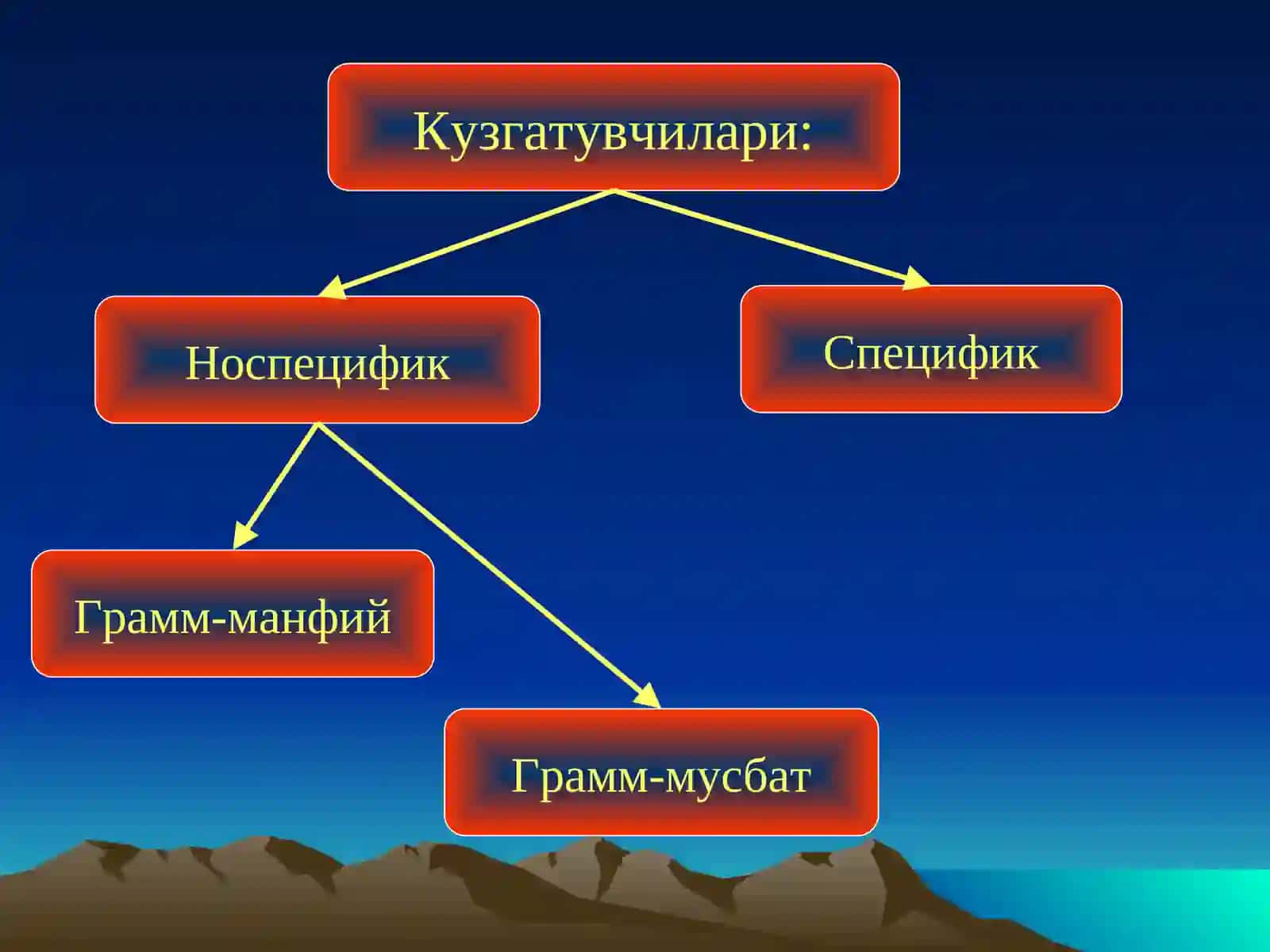 ПИЕЛОНЕФРИТ 4