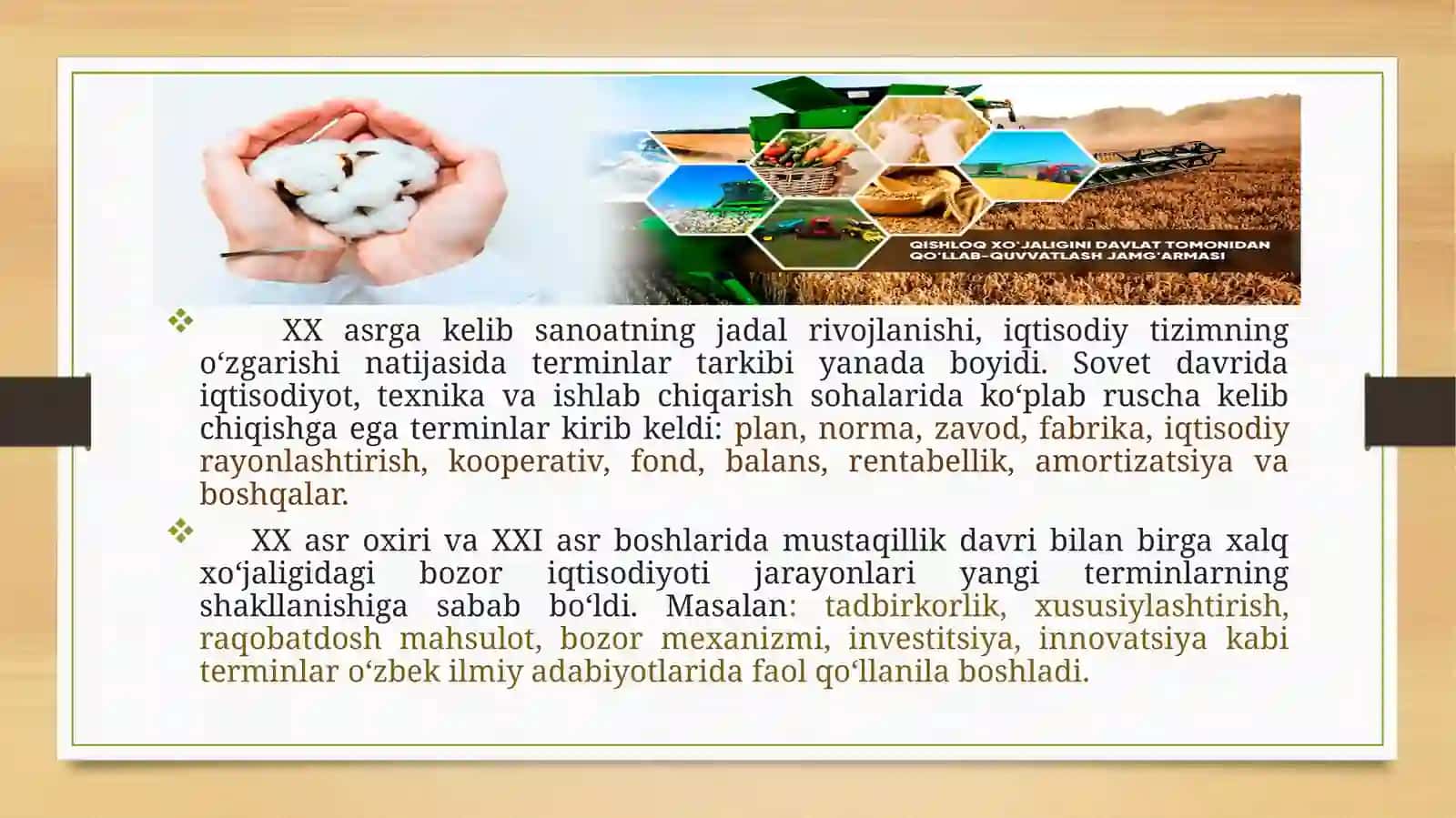 Xalq xo’jaligidagi yangi sohalarning o’zbek terminologiyasi va roli 4