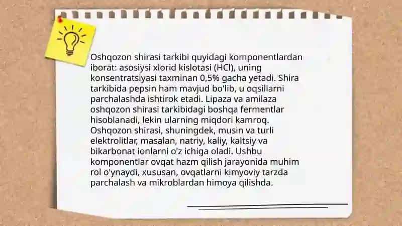 Hazm a'zolari shirasini tarkibi va tuzilishi 4
