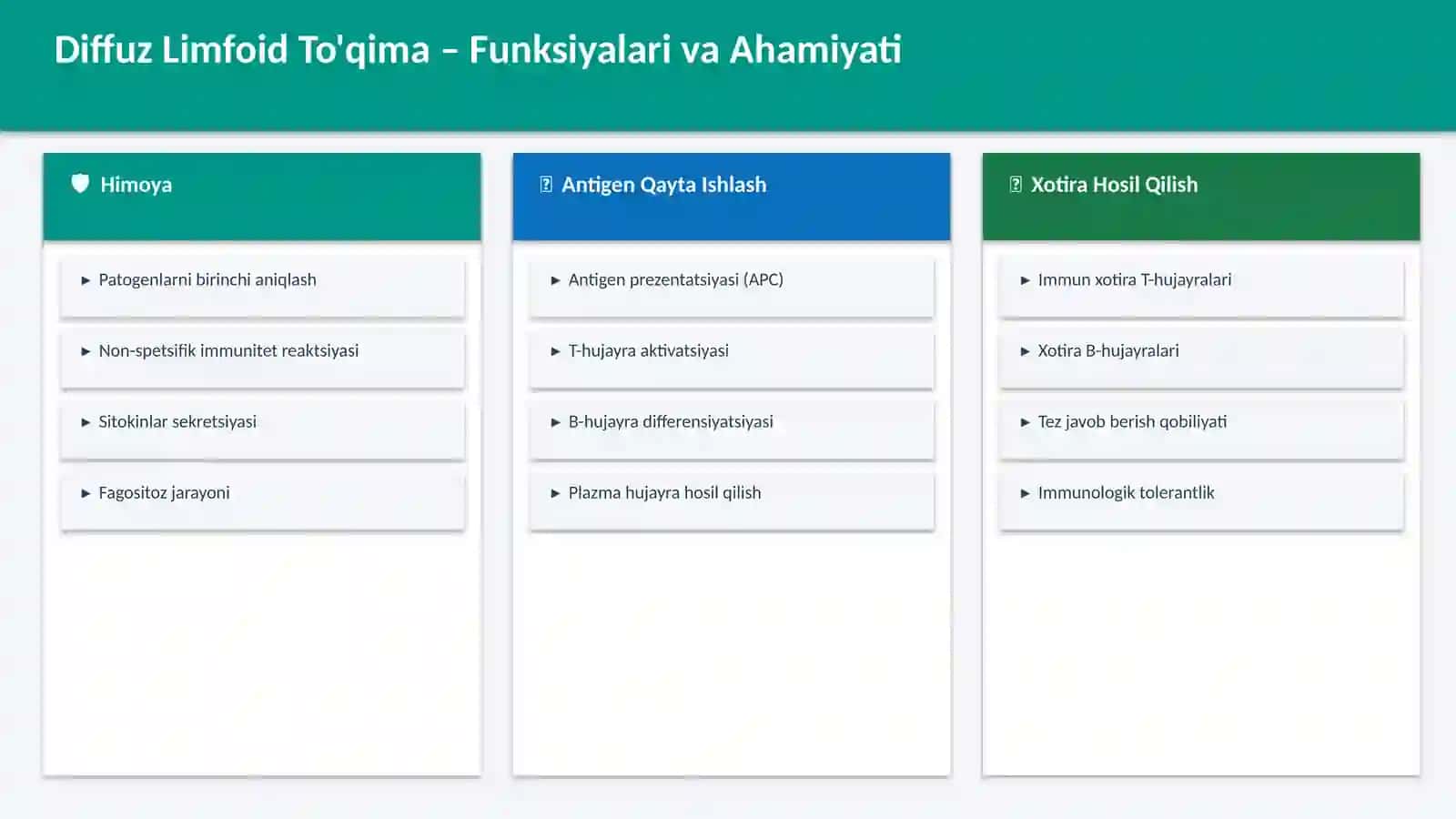 LIMFOID TO'QIMA 4