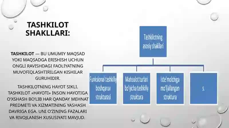 Tashkilotlar va ularni boshqarish 4