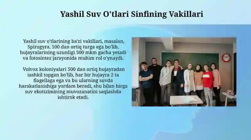 Riniyatoifa oʻsimliklar boʻlimi sinflari asosiy vakillarini oʻrganish 4