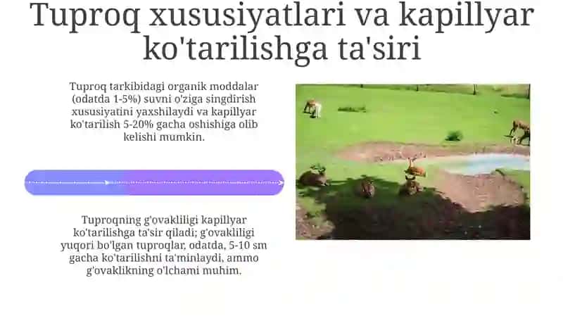 Sug'oriladigan yerlarda kapillyar koʻtarilishni aniqlash 4