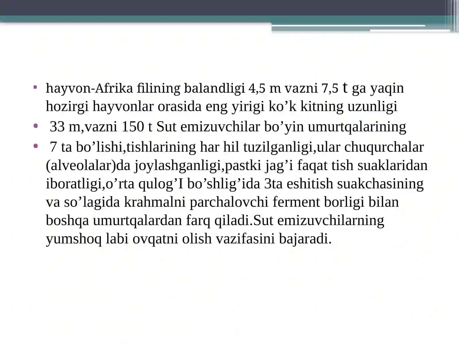 Ayiq haqida umumiy ma’lumot 4