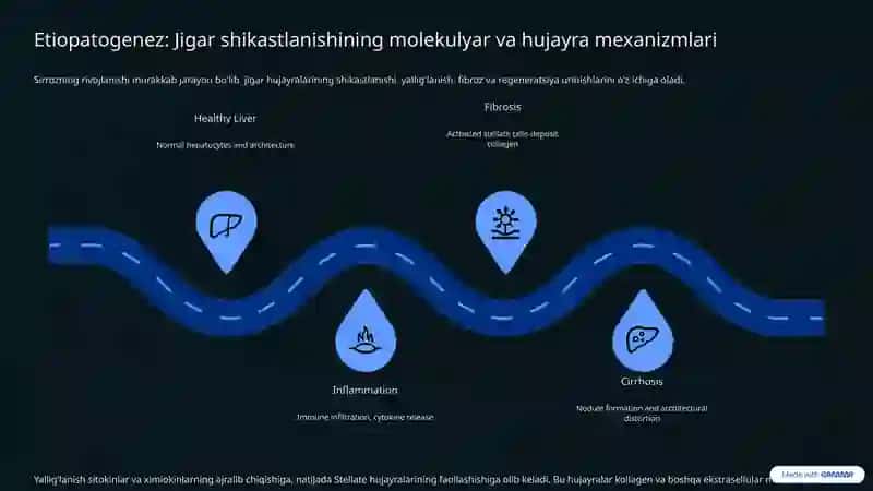 Jigar sirrozi: Etiopatogenez, klinik ko'rinishlari va diagnostikasi 4